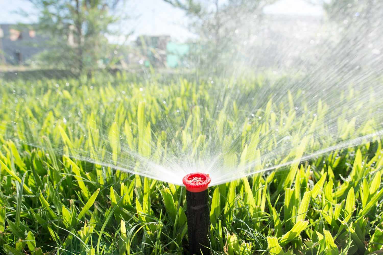 The Sprinkler Company Inc | Sprinkler Installation You Can Trust