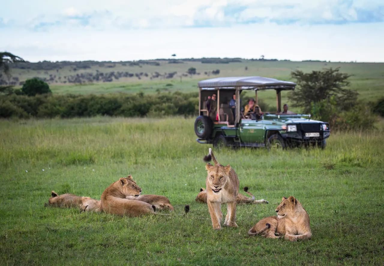 Experience the Ultimate Kenya Safari: Big Five, Wildlife &amp; Adventure