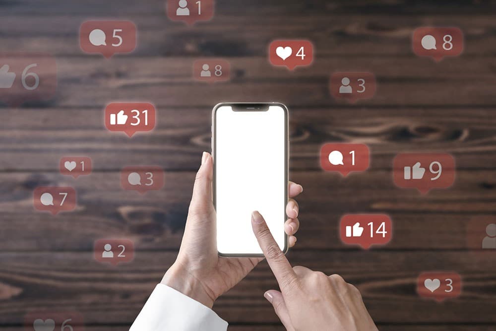 Instagram Bio Link Statistics: Understand Your Audience Better