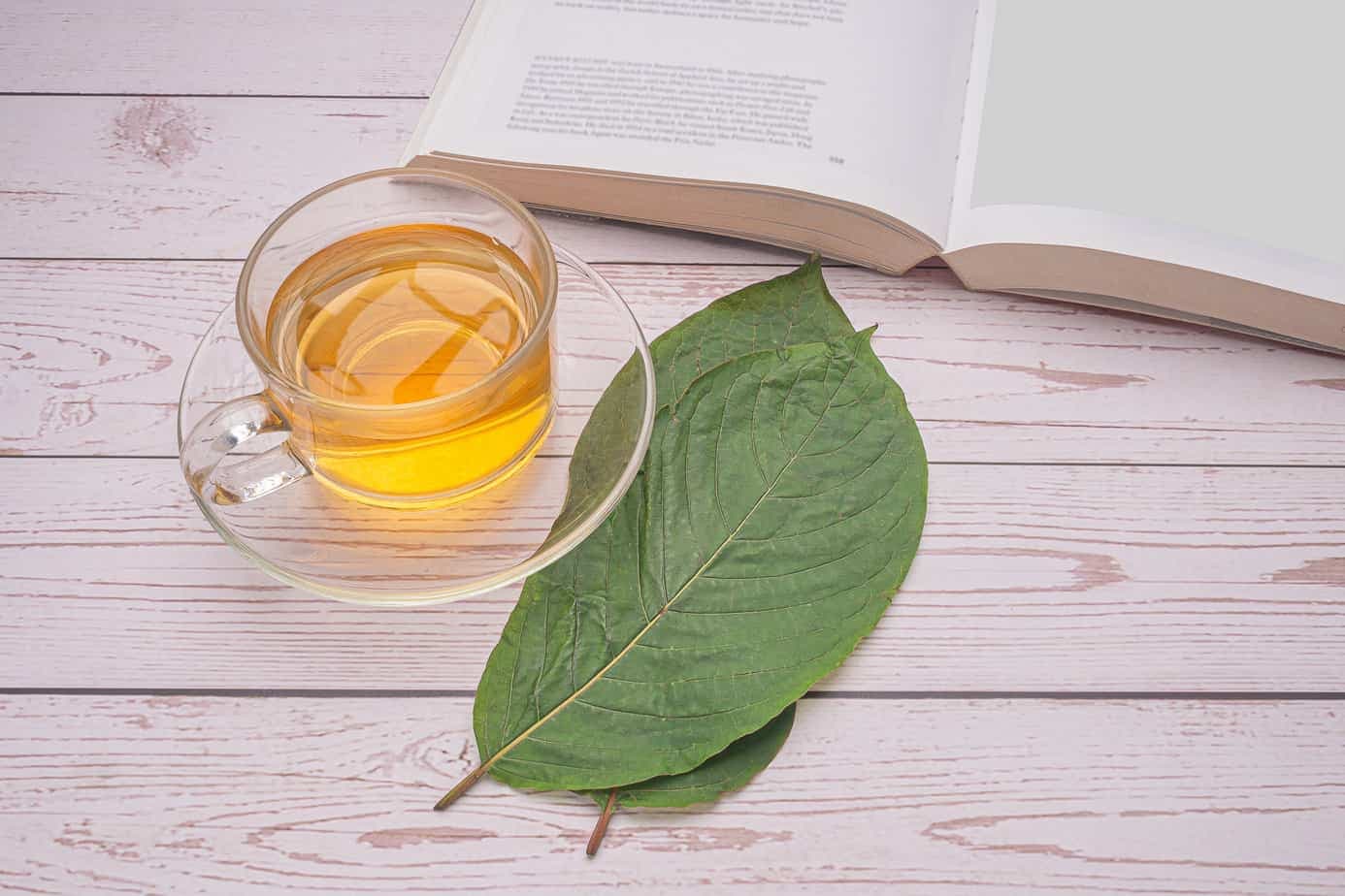 Where to Find the Best Natural Kratom Tea Thailand Offers