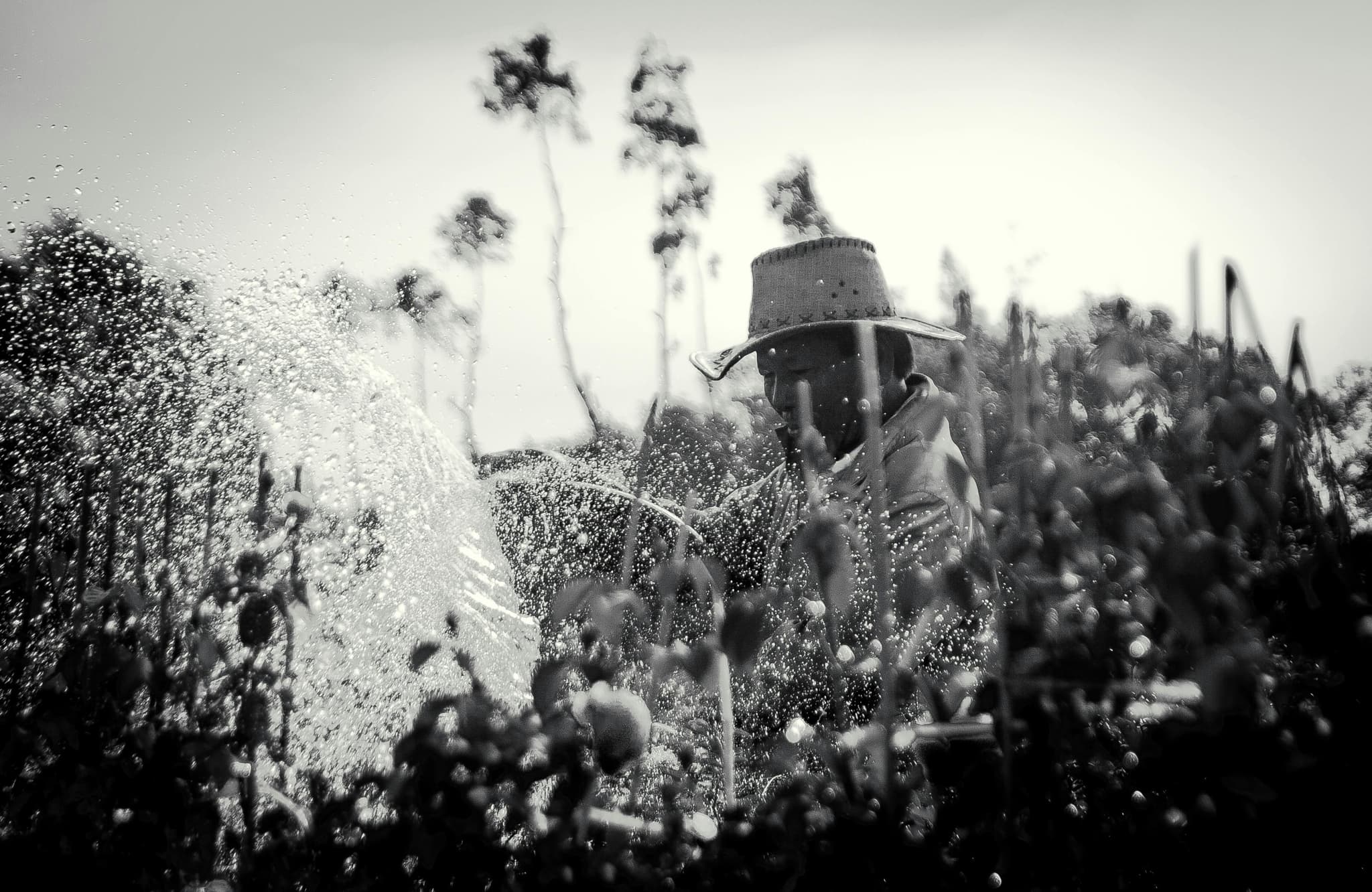 Professional Irrigation Services in Haltom City, TX for Efficient Systems