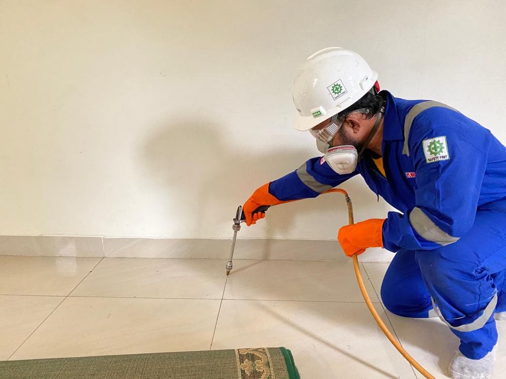 Jasa Anti Rayap Efisien dengan Hasil Maksimal