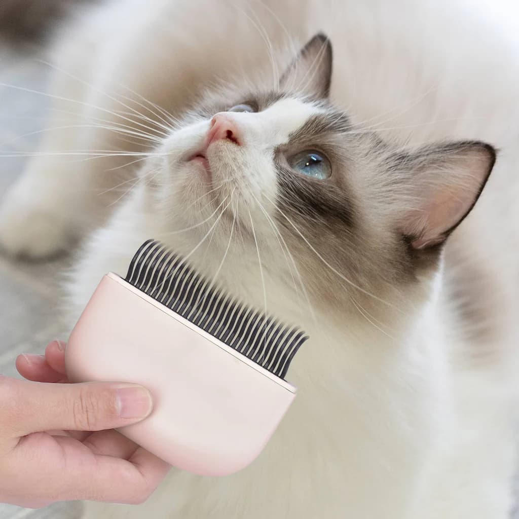 Cat Brush – Premium Grooming Tools Available at Catshoponline
