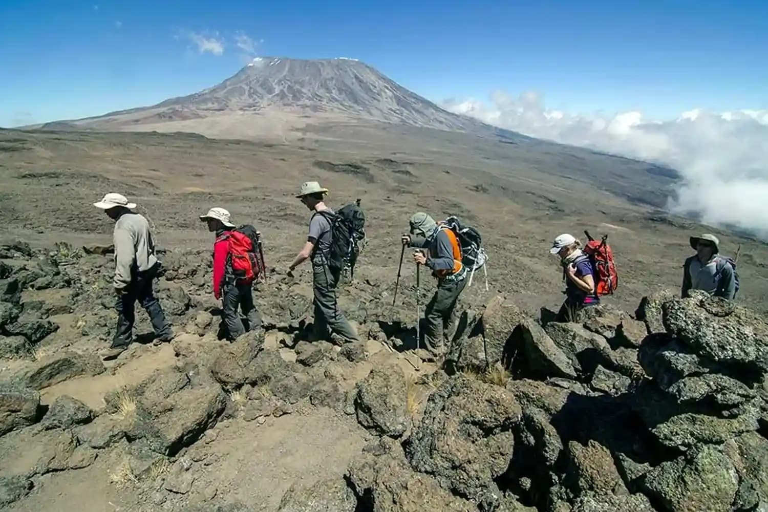Climb Kilimanjaro with Full Support from Base to Summit