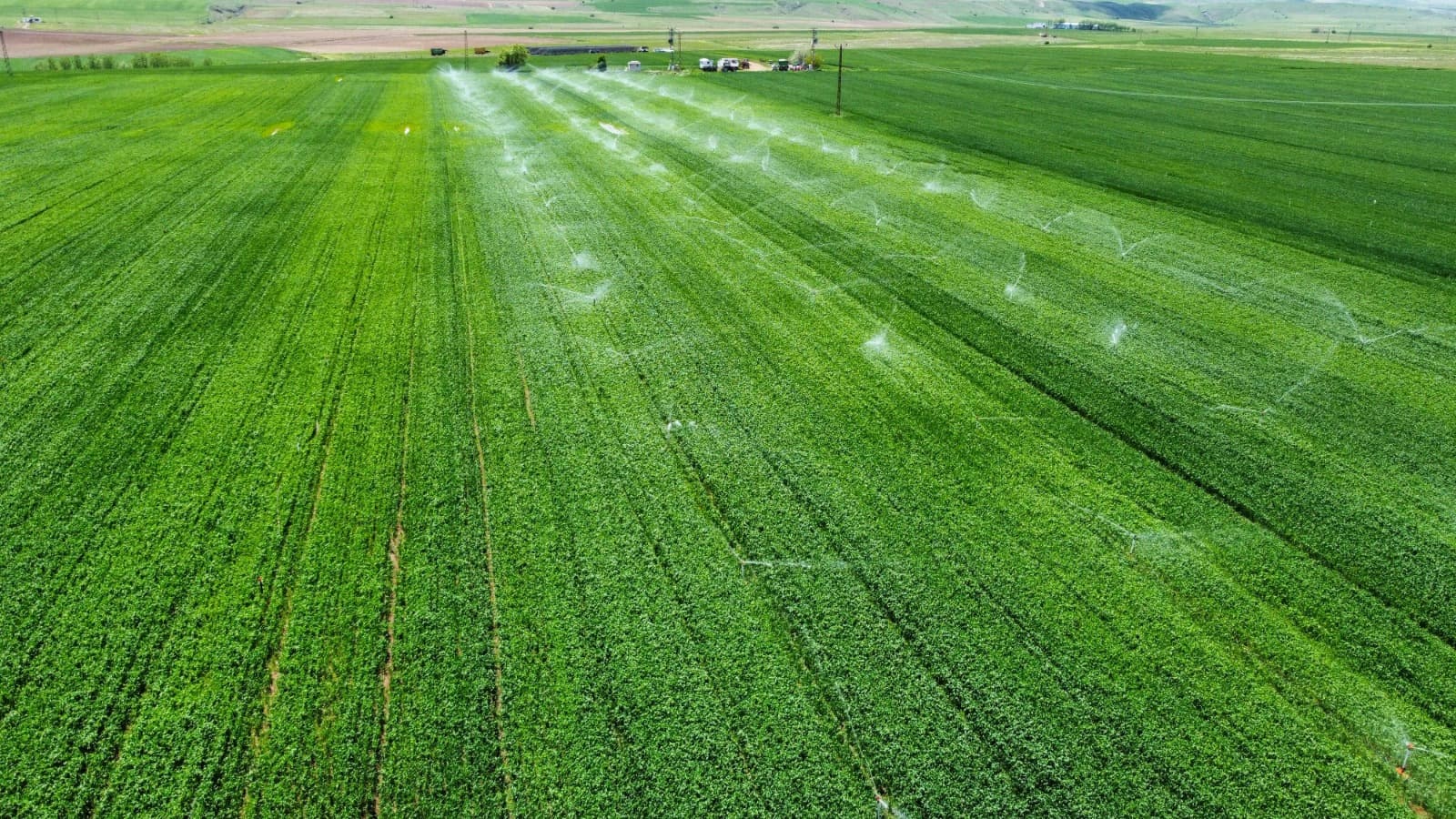 Professional Irrigation Services in Hudson Oaks, TX – Your Lawn Maintenance Experts