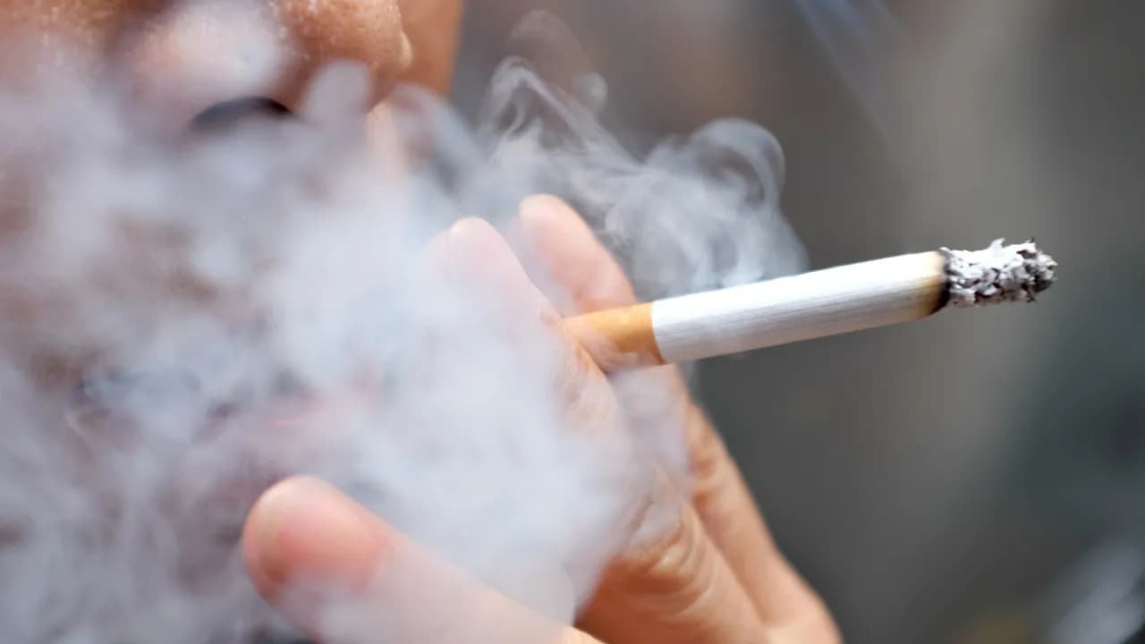 How Belmont Cigarettes Help Promote Safer Access to First Nations Tobacco Products
