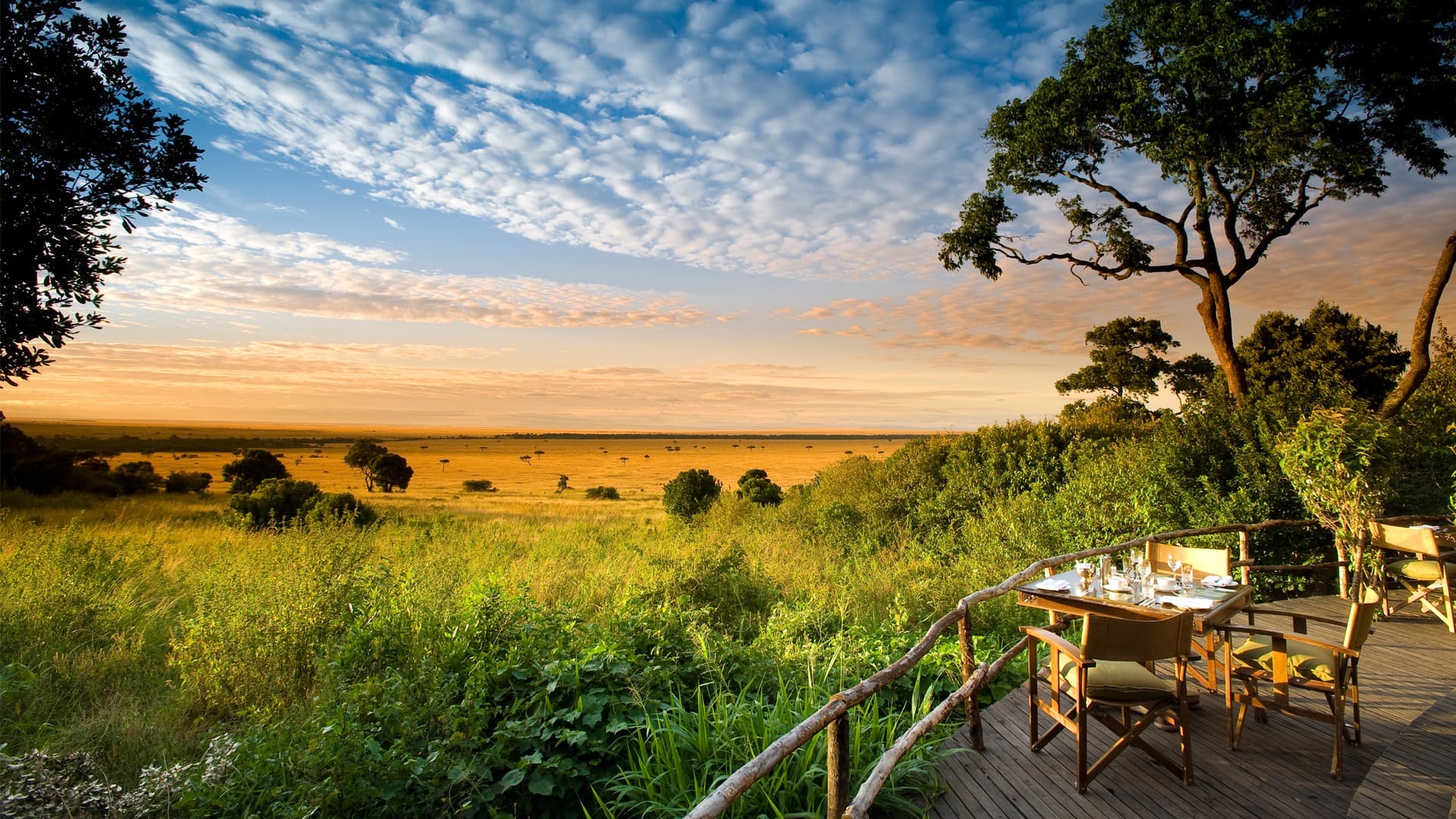 Extraordinary African Safari Experiences Curated by Experts