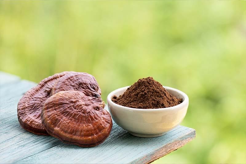 How to Source Premium Botanical Raw Materials for Your Brand