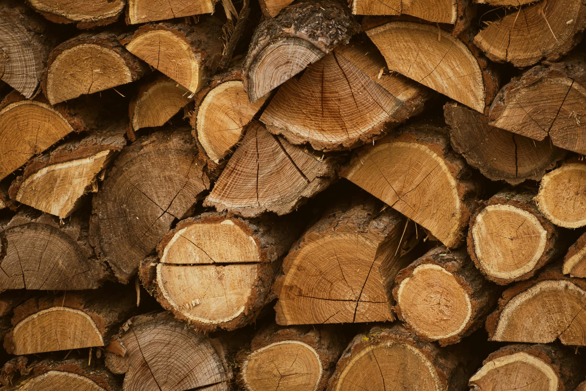 Dry Firewood for Efficient and Clean Burning