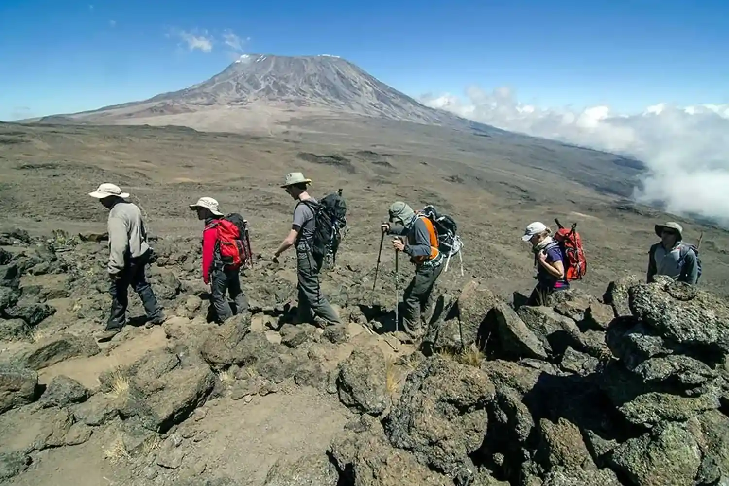 Climb Kilimanjaro with Full Support from Base to Summit