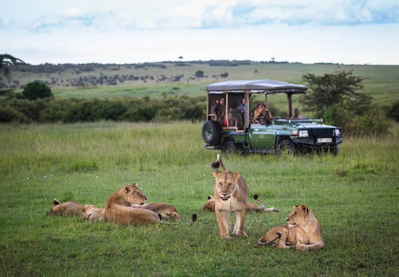 Experience the Ultimate Kenya Safari: Big Five, Wildlife & Adventure