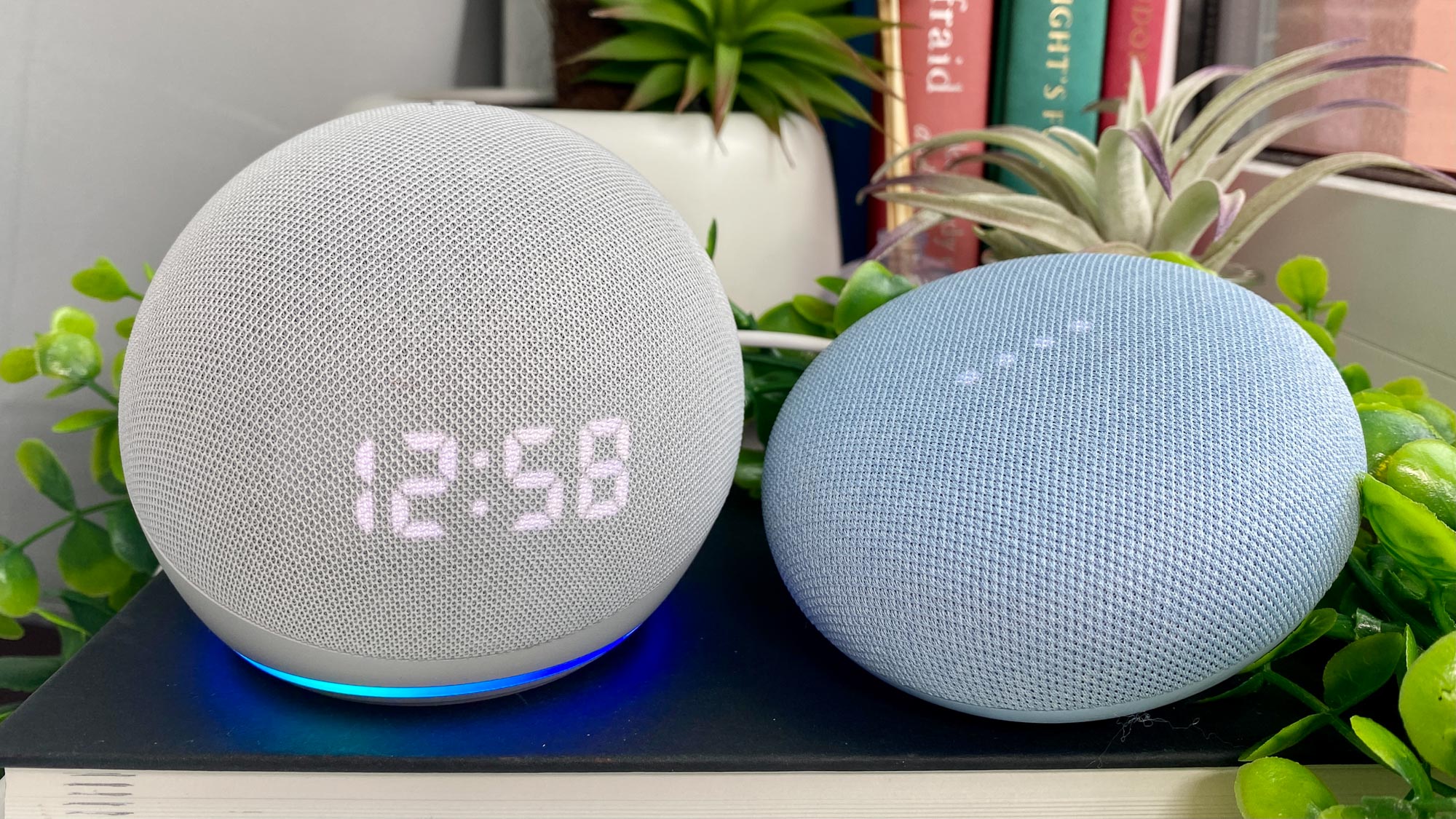 difference between echo dot and echo pop