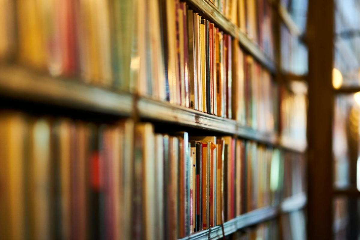 Why Readers are Excited About This New Fantasy Series