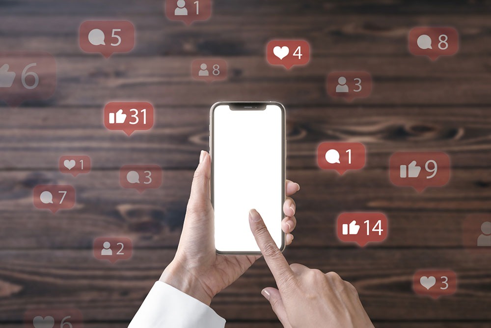 Instagram Bio Link Statistics: Understand Your Audience Better
