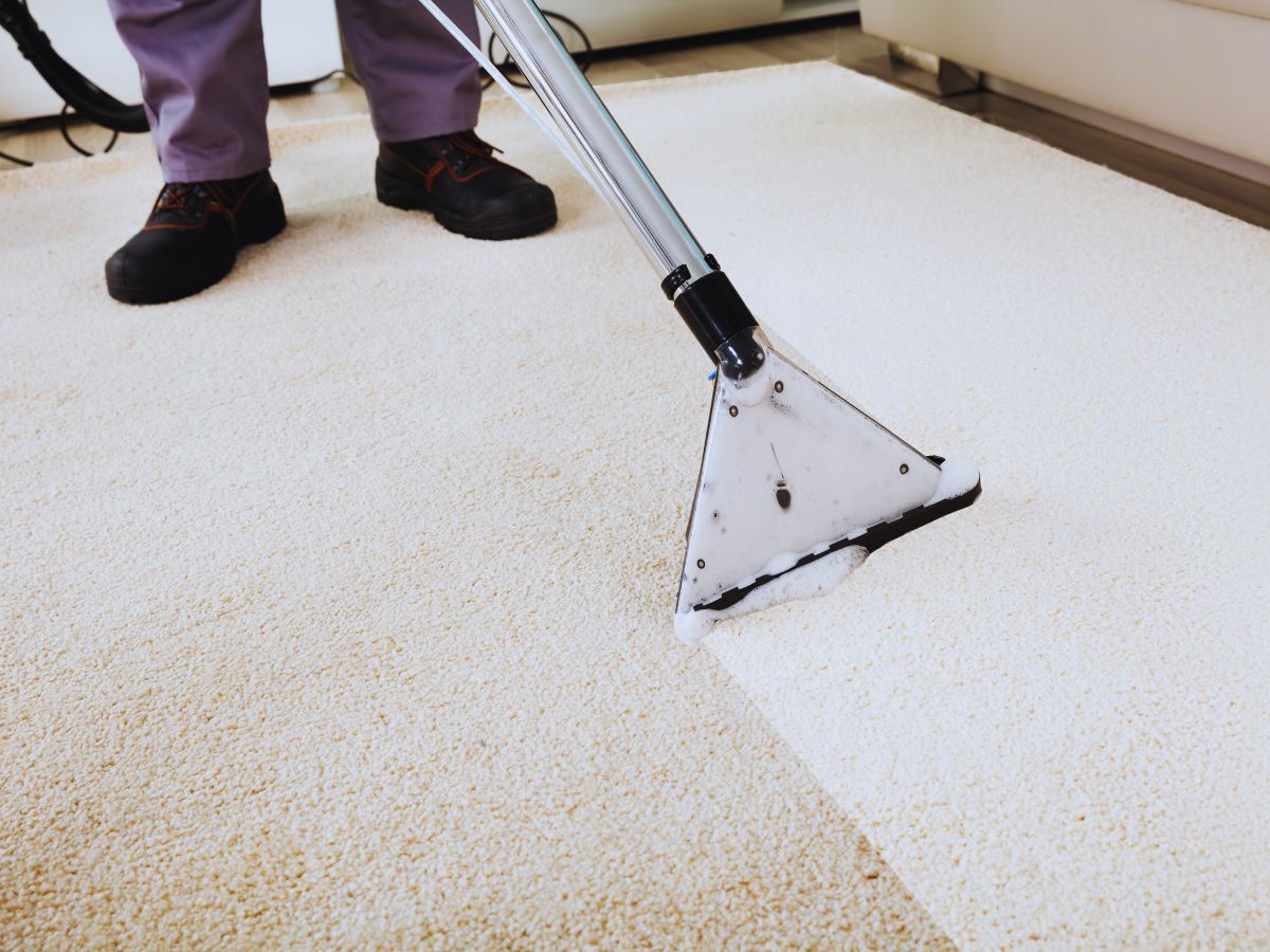Affordable Carpet Cleaners Roseville CA You Can Rely On