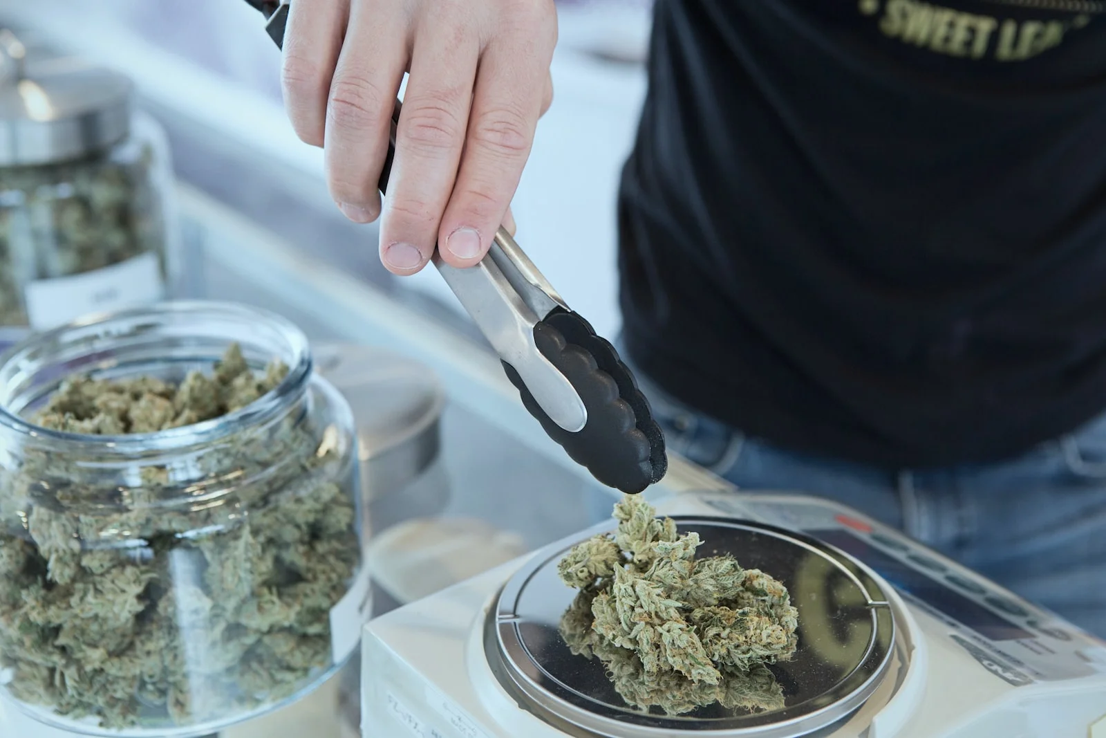 Building a Community: The Essentials of a Cannabis Club