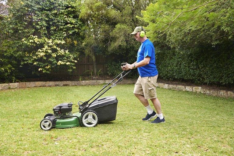 1675872139112-a-lawn-mowing-professional