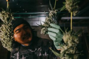 WhatsApp Image 2025-11-21 at 3.01.14 PM