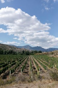 pexels-evgeniy-lookyanov-220481949-11917124