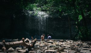 pexels-chris-f-38966-12878195