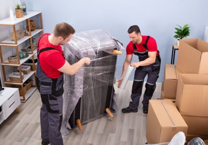 WhatsApp Image 2026-01-09 at 12.08.44 PM (4)